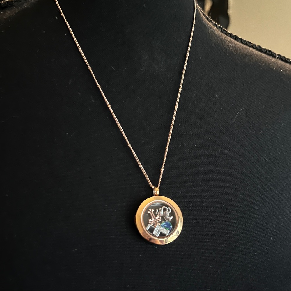 Origami owl charm necklace